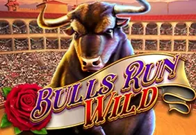 Bulls Run Wild