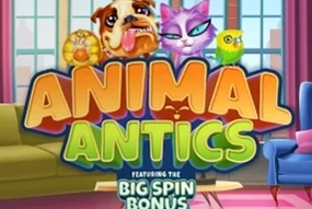 Animal Antics